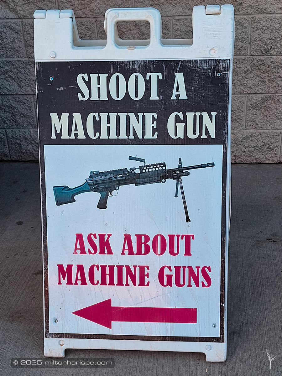 Oddities Found Along The Way